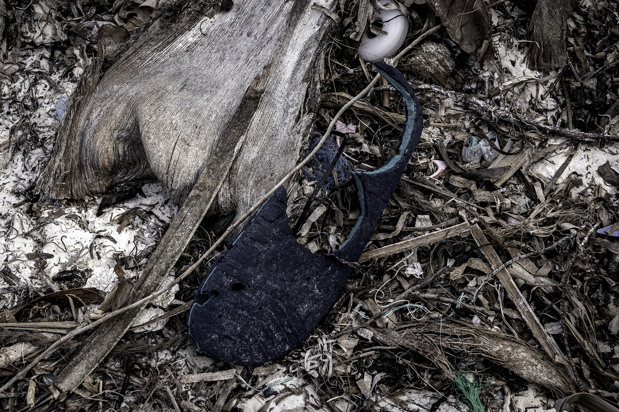 Lost Sole 1