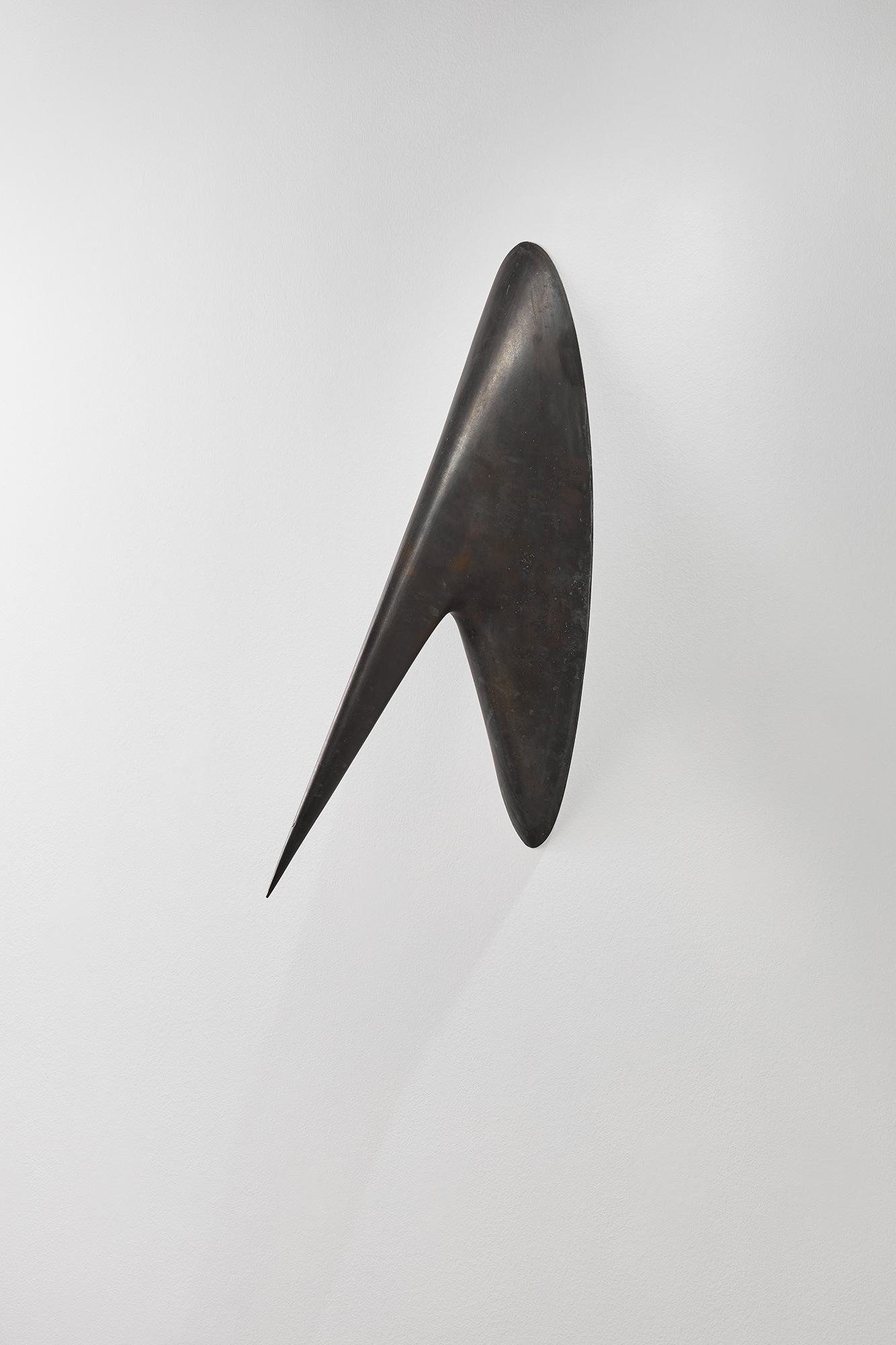 Thorn
