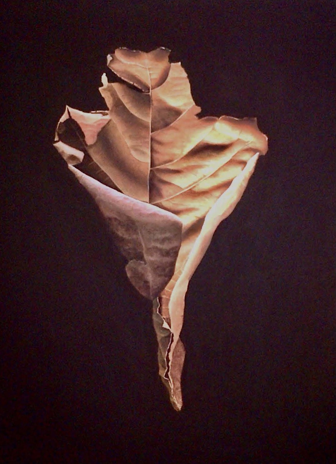 Pod 3