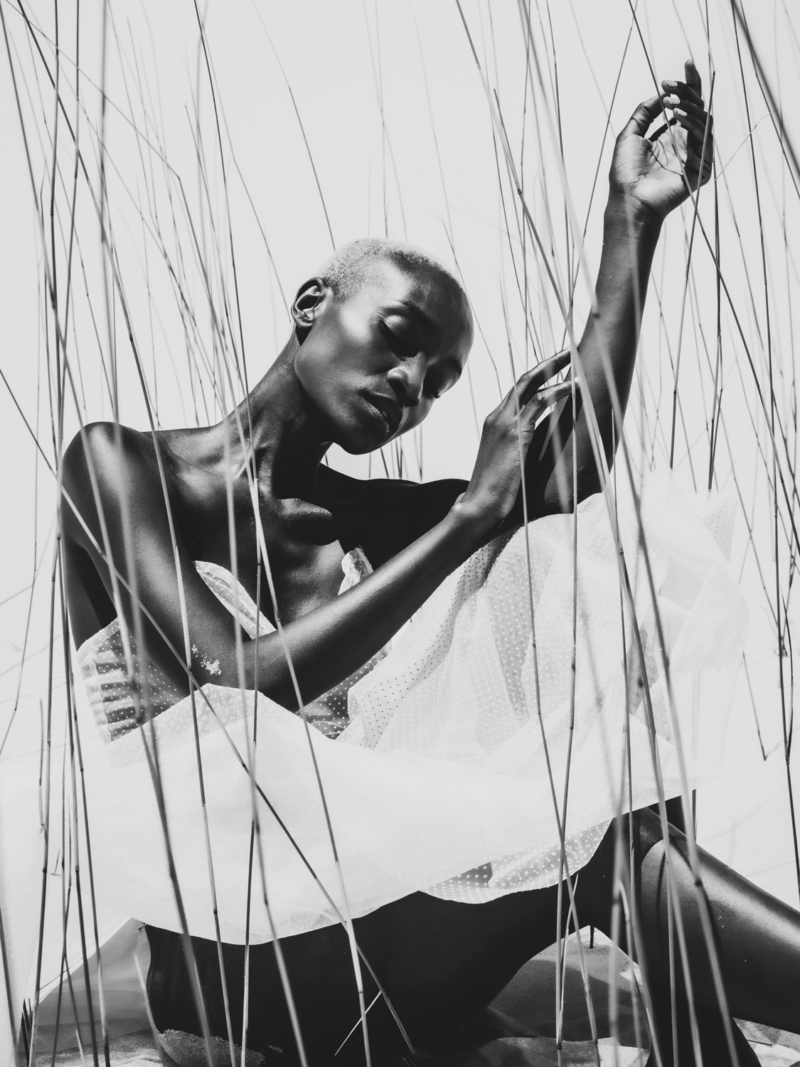 Kendy Dreams VI